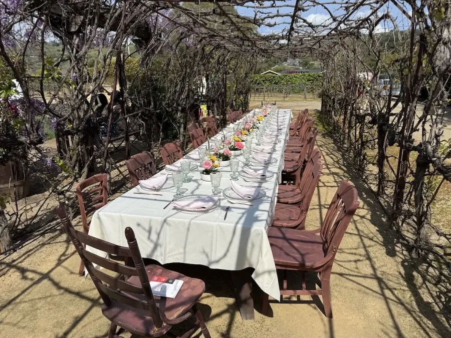 Long table set between the vines with a run of small blossom arrangements and simple settings — vineyard floral styling for Woodside catering